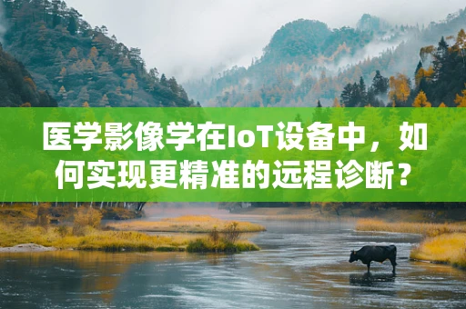 医学影像学在IoT设备中，如何实现更精准的远程诊断？