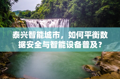 泰兴智能城市，如何平衡数据安全与智能设备普及？