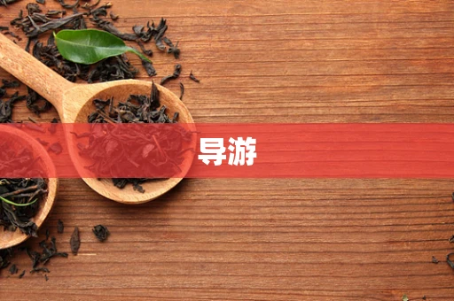 导游