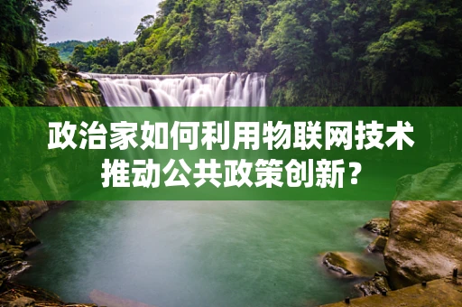 政治家如何利用物联网技术推动公共政策创新？