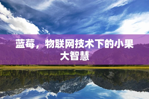 蓝莓，物联网技术下的小果大智慧