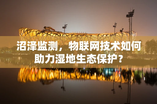 沼泽监测，物联网技术如何助力湿地生态保护？