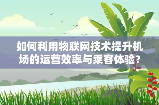 如何利用物联网技术提升机场的运营效率与乘客体验？