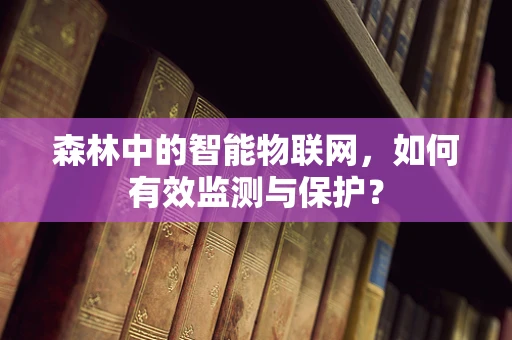 森林中的智能物联网，如何有效监测与保护？