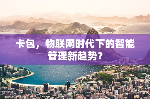 卡包，物联网时代下的智能管理新趋势？
