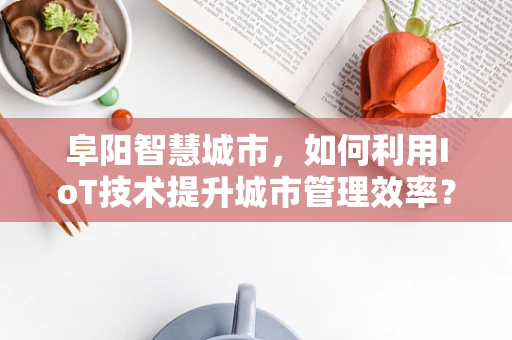 阜阳智慧城市，如何利用IoT技术提升城市管理效率？
