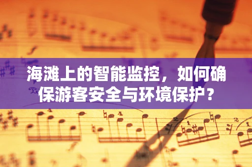 海滩上的智能监控，如何确保游客安全与环境保护？