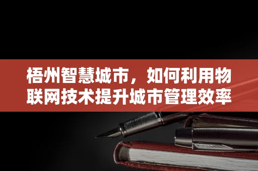 梧州智慧城市，如何利用物联网技术提升城市管理效率？