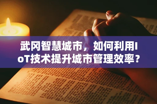武冈智慧城市，如何利用IoT技术提升城市管理效率？