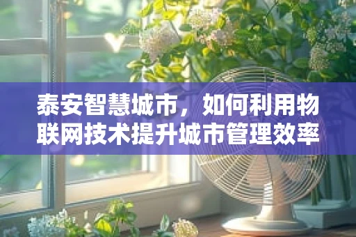 泰安智慧城市，如何利用物联网技术提升城市管理效率？