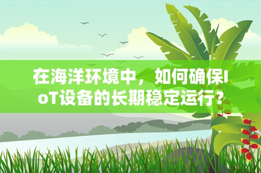 在海洋环境中，如何确保IoT设备的长期稳定运行？