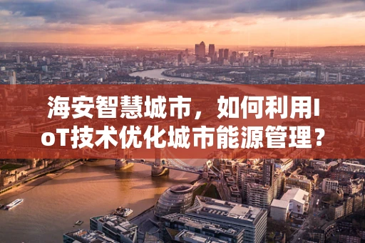 海安智慧城市，如何利用IoT技术优化城市能源管理？