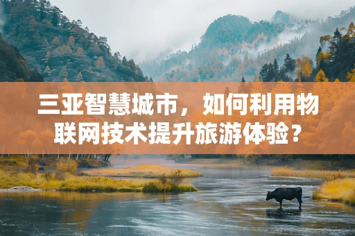 三亚智慧城市，如何利用物联网技术提升旅游体验？