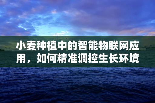 小麦种植中的智能物联网应用，如何精准调控生长环境？
