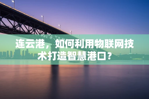 连云港，如何利用物联网技术打造智慧港口？