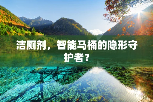 洁厕剂，智能马桶的隐形守护者？