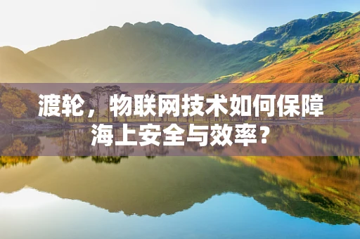 渡轮，物联网技术如何保障海上安全与效率？
