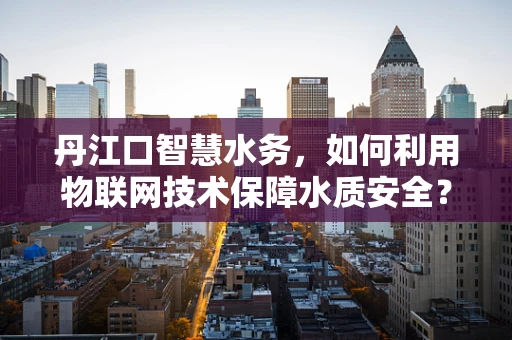 丹江口智慧水务，如何利用物联网技术保障水质安全？