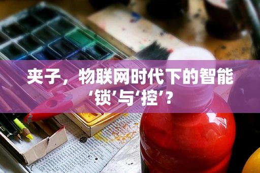 夹子，物联网时代下的智能‘锁’与‘控’？