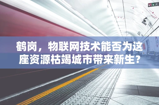 鹤岗，物联网技术能否为这座资源枯竭城市带来新生？