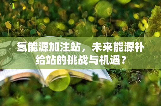 氢能源加注站，未来能源补给站的挑战与机遇？