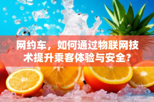 网约车，如何通过物联网技术提升乘客体验与安全？