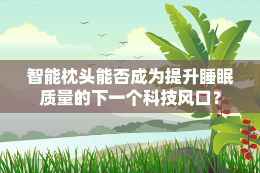 智能枕头能否成为提升睡眠质量的下一个科技风口？