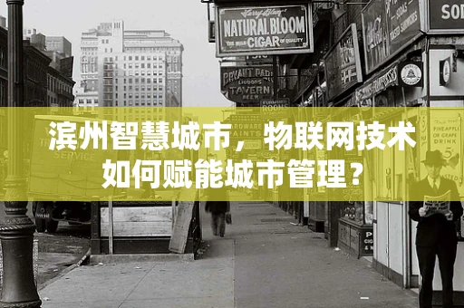 滨州智慧城市，物联网技术如何赋能城市管理？