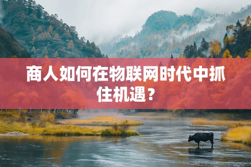 商人如何在物联网时代中抓住机遇？